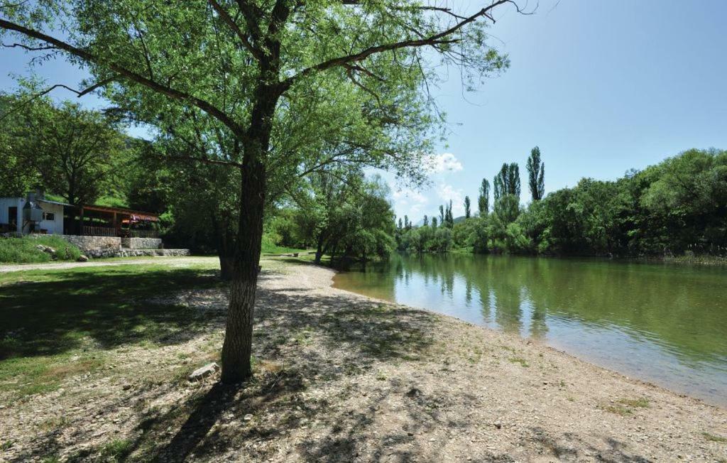 Apartment Kraljevic Blato na Cetini Bagian luar foto